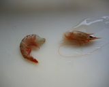 えびじゃが作り方1写真