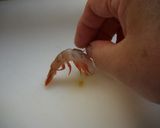 えびじゃが作り方2写真