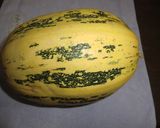 錦瓜（そうめんうり）作り方1写真