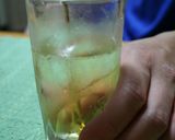 ブランデー梅酒作り方15写真