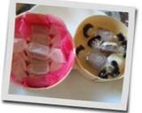 ✿チョコと生キャラメルのもっちりパン✿作り方1写真
