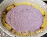 ＦＰ使用～冷凍ブルーベリームースズコット作り方13写真