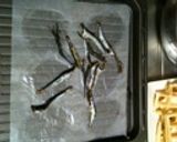煎りいりこ作り方1写真