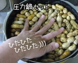 やめられない止まらない【塩茹で落花生】作り方3写真