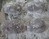 ぶどう色したキャンディ包みのチーズ大福作り方10写真
