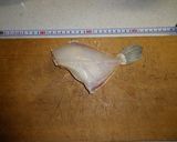 天然真鯛の手作り干物作り方9写真