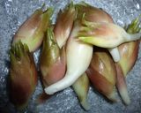 みょうがの漬物2種　辛子漬け＆甘酢漬け作り方8写真