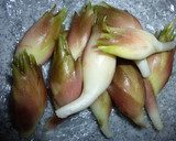 みょうがの漬物2種　辛子漬け＆甘酢漬け作り方8写真