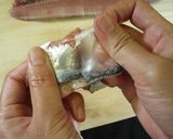 基本★さんまの刺身　さばき方（おろし方）作り方8写真