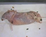 はぎ取った鶏皮 meets ささみ作り方3写真