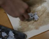 やさしいエビチリ作り方4写真