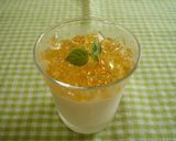 あんずのムース作り方7写真