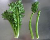 たことわさび菜のピリ辛パスタ作り方3写真
