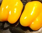 鶏挽き肉とパプリカのファルシー（肉詰め）作り方3写真