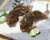カサゴの塩焼き作り方7写真
