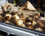 タケノコのチーズ焼き作り方1写真