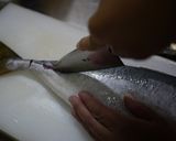 魚を捌こう！ブリの刺身５枚おろし編作り方16写真