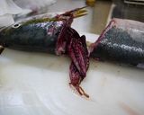 魚を捌こう！ブリの刺身５枚おろし編作り方13写真