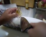 魚を捌こう！ブリの刺身５枚おろし編作り方9写真