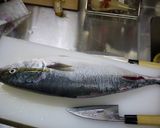 魚を捌こう！ブリの刺身５枚おろし編作り方8写真