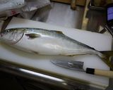 魚を捌こう！ブリの刺身５枚おろし編作り方2写真