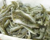 ハゼとキュウリのお手軽な酢の物作り方2写真