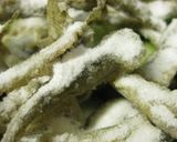 ハゼとキュウリのお手軽な酢の物作り方5写真