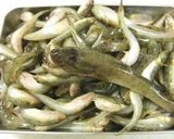 お手軽お惣菜　ハゼのとキュウリの昆布和え作り方1写真