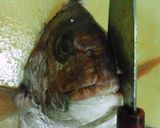 真鯛の捌き方作り方26写真
