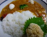 ホエイ炊きのごはんで混ぜご飯作り方8写真