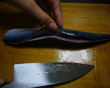さんまの三枚おろし作り方11写真
