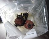大根の梅しそ漬け作り方6写真