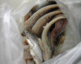 袋で作ればちょっと楽♪お魚ハンバーグ作り方3写真