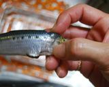 コレは美味しいでしょ?鰯の胡麻まぶし♪作り方1写真