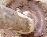 焼き茄子の入った冷たいお味噌汁作り方3写真