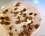 かぼちゃとさつま芋のDELI風サラダ作り方1写真