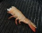 なのはなべんとう。作り方31写真