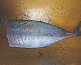 アジの三枚おろし♪作り方8写真
