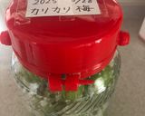 青梅のカリカリ梅作り方7写真