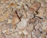 激安 豚こま肉と茸のホワイトストロガノフ作り方9写真