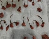 さくら香るシフォンケーキ作り方16写真