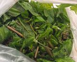 コシアブラ（シラキ）ご飯作り方1写真