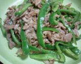 素はもういらないよ♪回鍋肉！作り方9写真