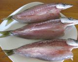 今が旬！！カマスの干物作り方1写真