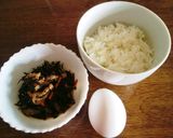 超簡単ねこまんま★鉄分補給のひじき丼作り方1写真