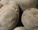 ぽてちり。作り方6写真
