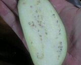 しょうが醤油で食べるナスソテー♪作り方1写真