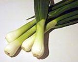 ネギ好きに葉タマネギの回鍋肉風作り方1写真