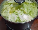 鶏とキャベツの簡単鍋作り方10写真