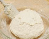 【冷蔵発酵】フルーツの牛乳リュスティック作り方8写真